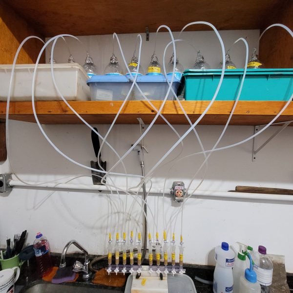 Campanha de amostragem em junho de 2024