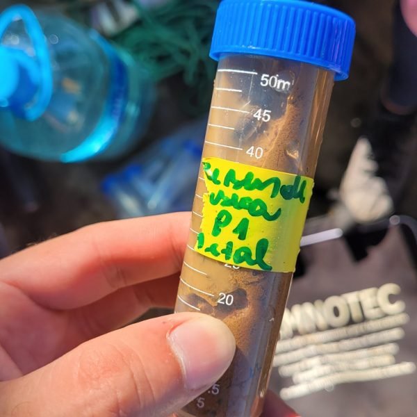 Campanha de amostragem em junho de 2024