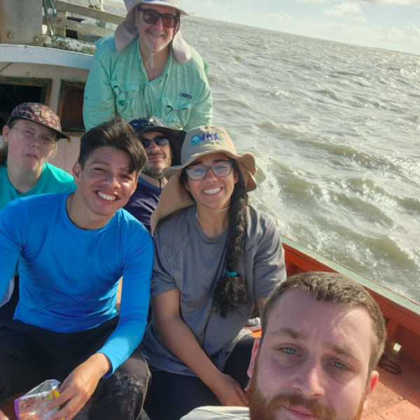 Amostragem nos manguezais do Pará