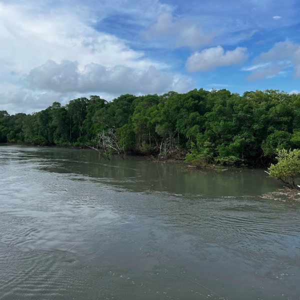 Amostragem nos manguezais do Pará-2024