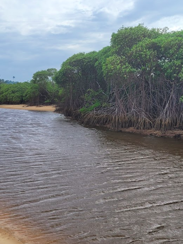 Amostragem em fevereiro de 2024