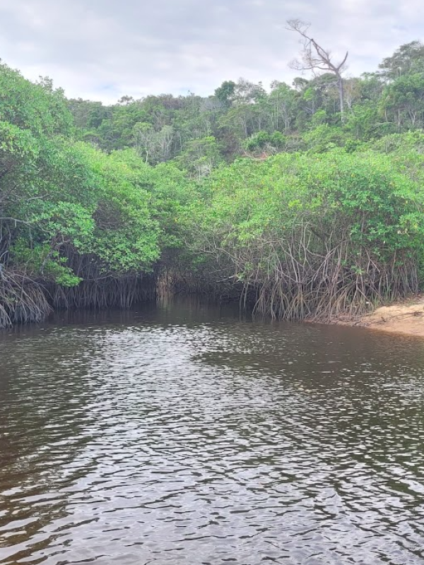 Amostragem em fevereiro de 2024