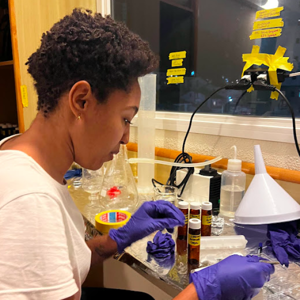 Campanha de amostragem em junho de 2024