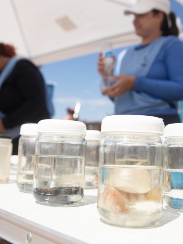 Projeto Educação Ambiental