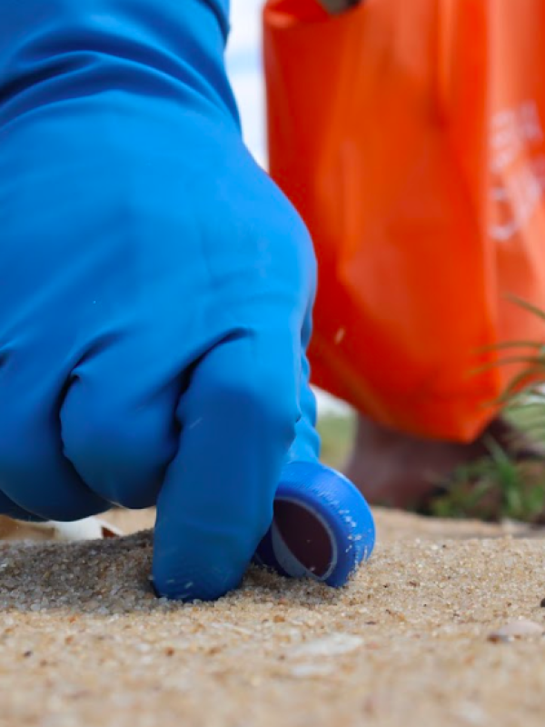Projeto Educação Ambiental
